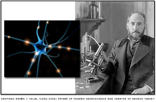 cajal